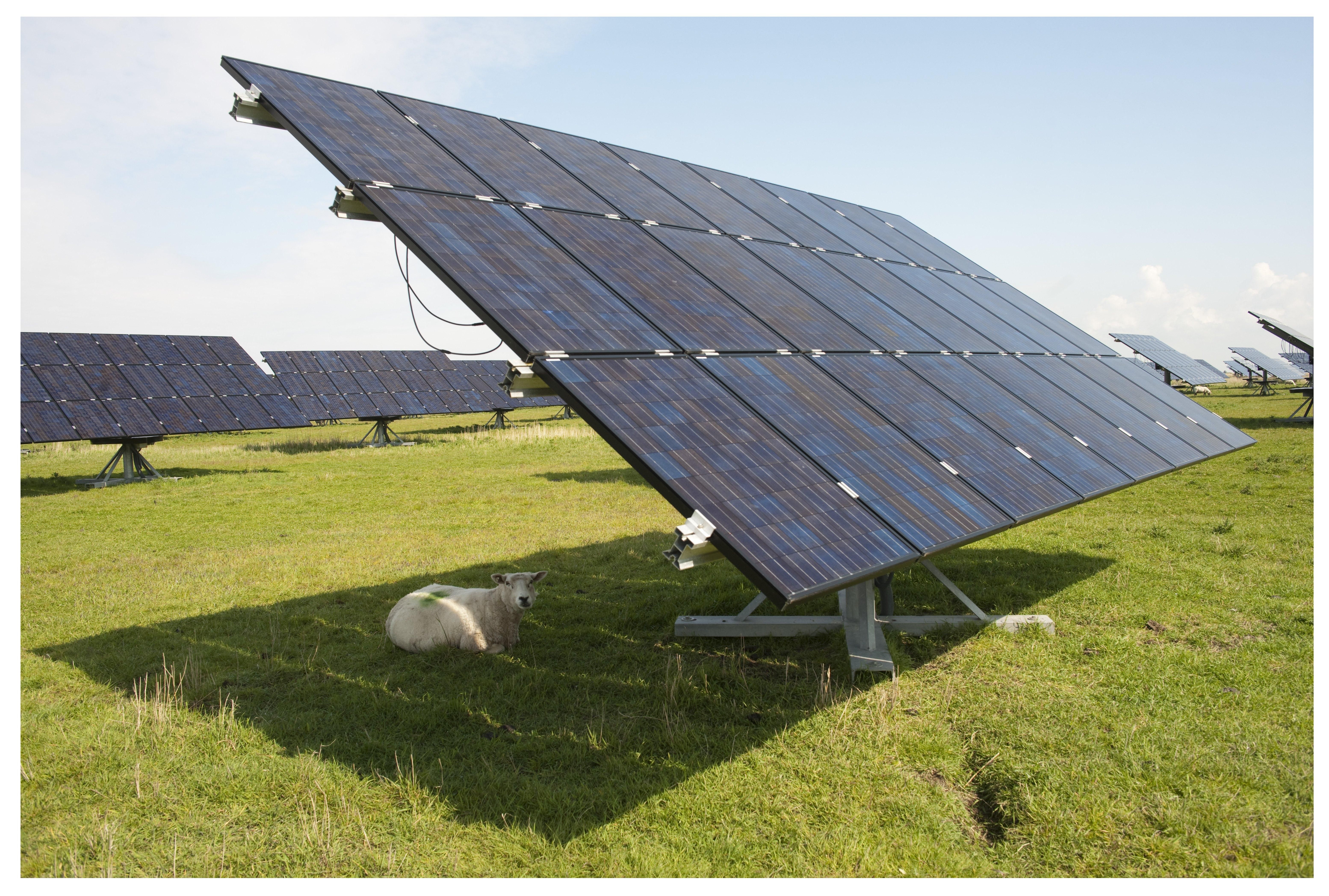 Тренд на экологичность – идеи для зеленого бизнеса Тренд на экологичность – идеи для зеленого бизнеса