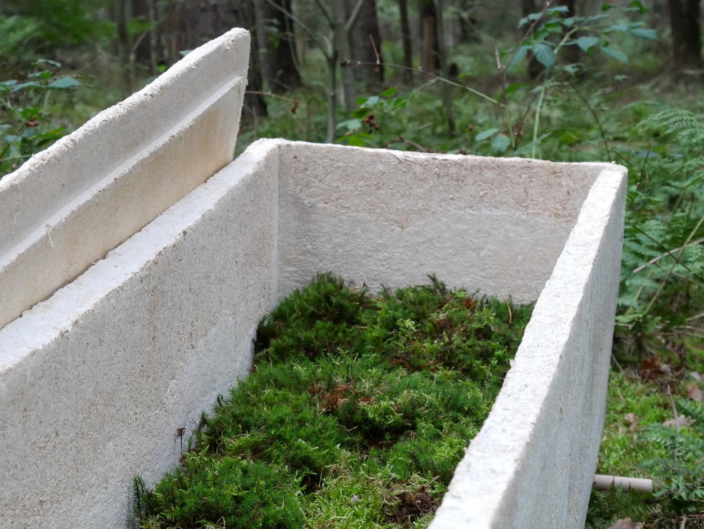 Живі труни з грибів, інноваційний спосіб поховання: фото