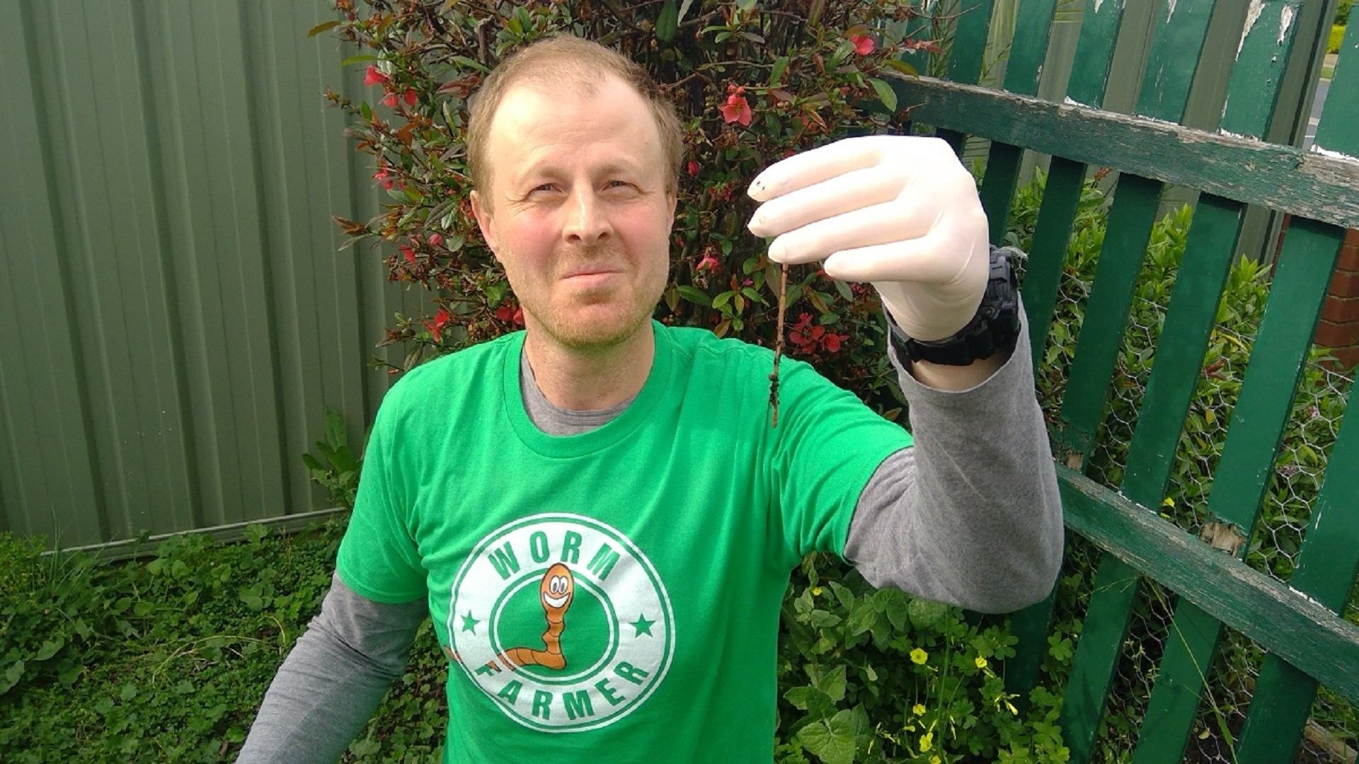 Шнобелевская премия 2020: украинцы стали лауреатами Шнобелевская премия 2020: украинцы стали лауреатами