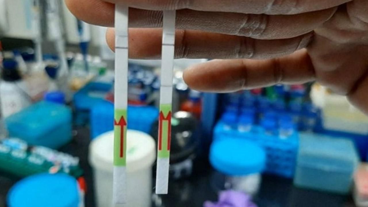 В Индии разработали бумажный тест на COVID-19: быстрый и дешевый В Индии разработали бумажный тест на COVID-19: быстрый и дешевый