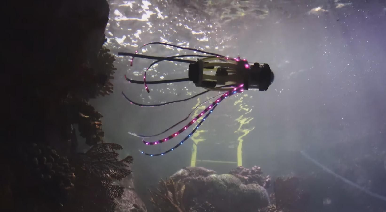 В США создали подводного робота, похожего на кальмара: видео