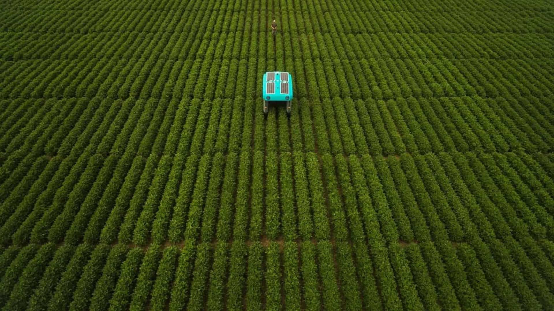 Google показала роботов, которые будут помогать фермерам: фото