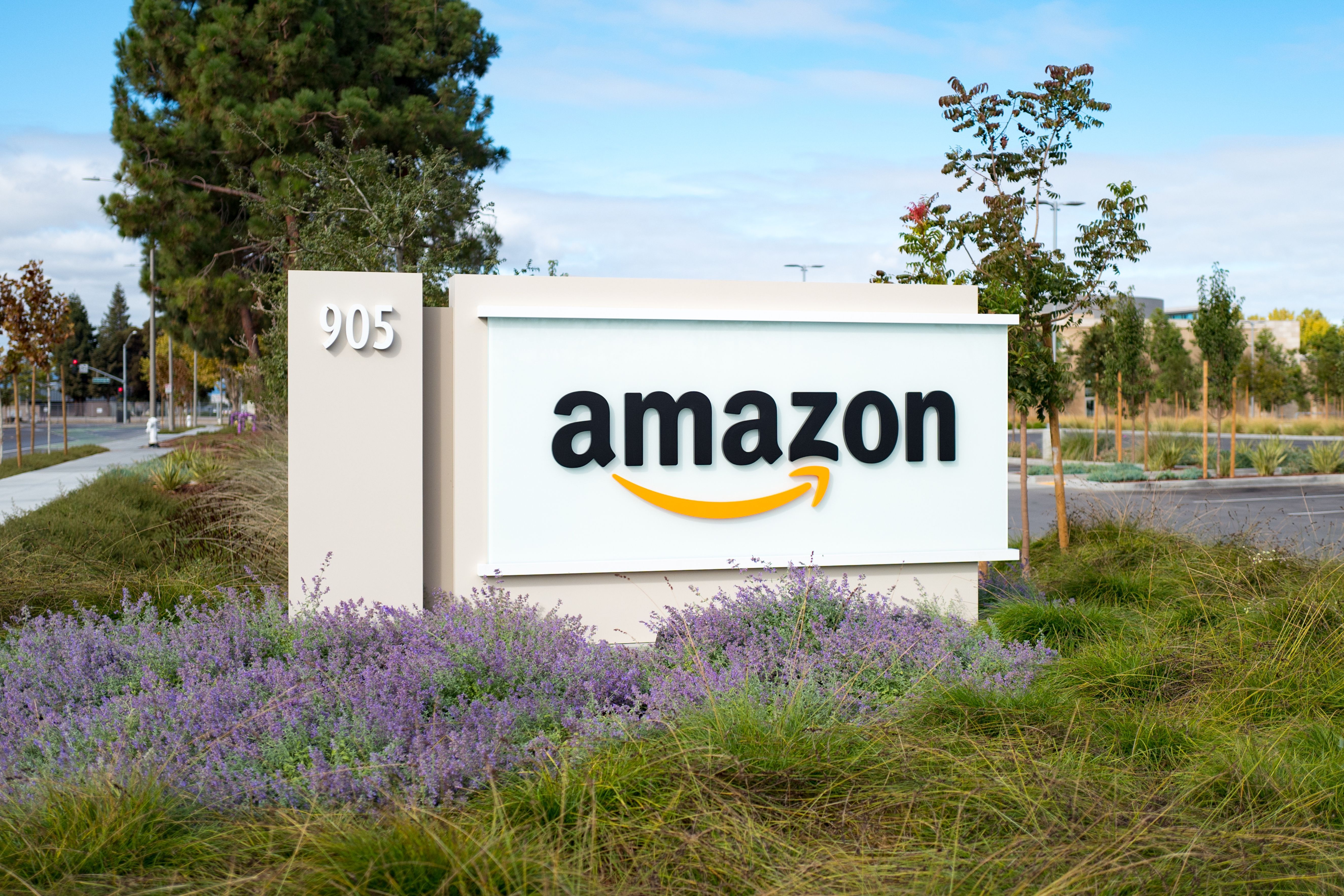 Amazon Amazon