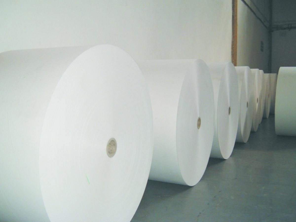 Чехи создали первую мире антикоронавирусную бумагу: что известно Чехи создали первую мире антикоронавирусную бумагу: что известно