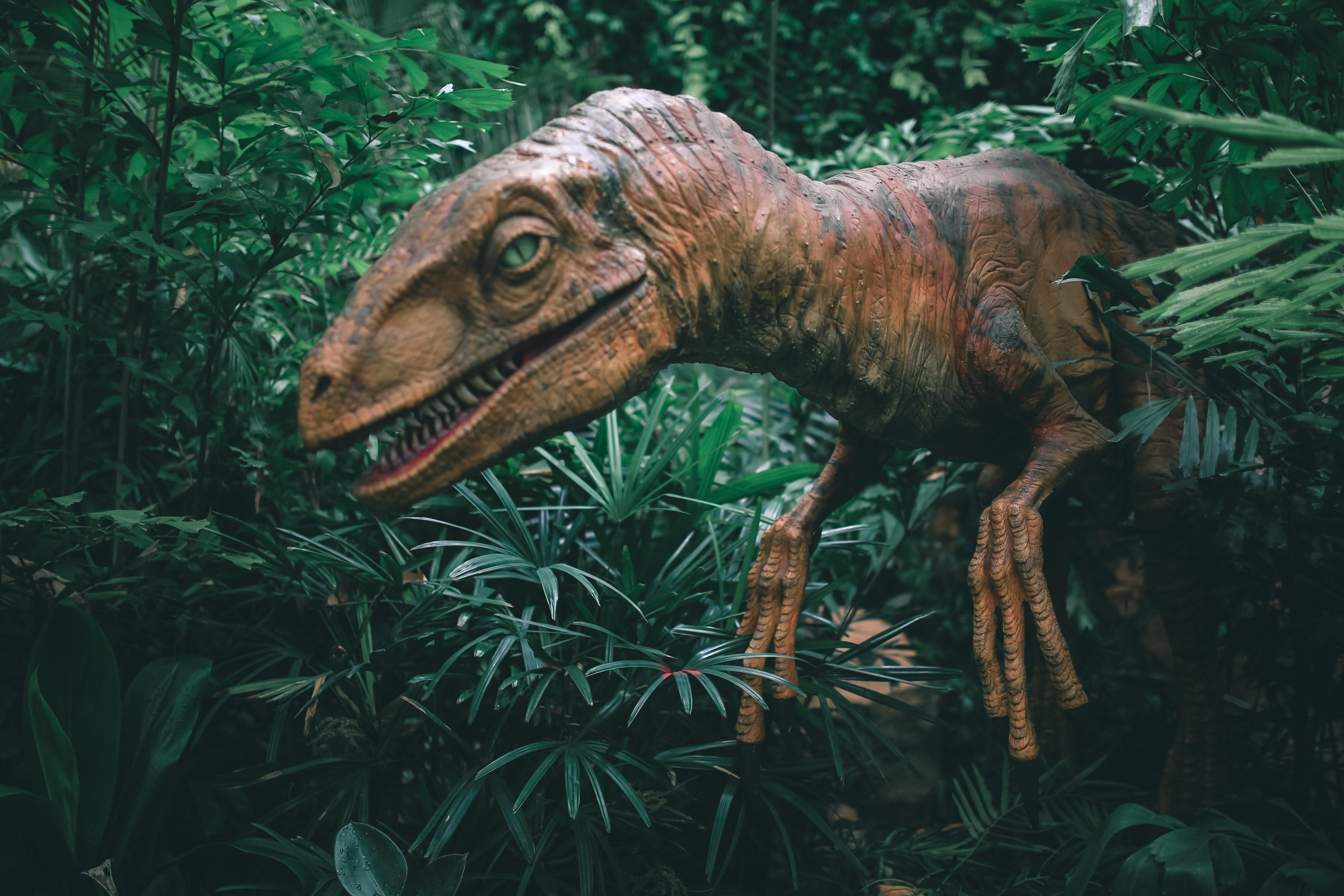 Роботизированные динозавры появятся в зоопарке Винницы: фото