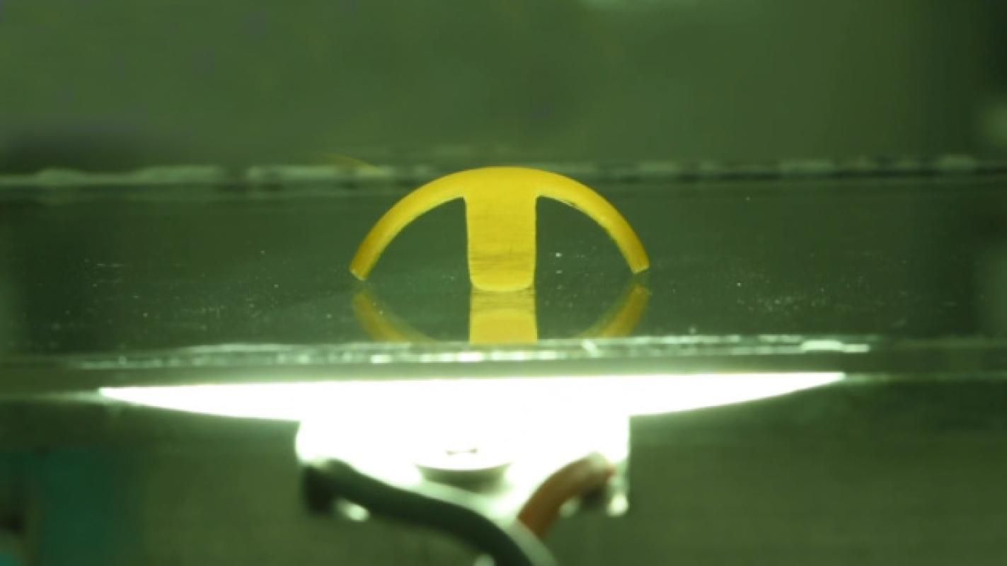 Создали крошечного робота, который на 90% состоит из воды: видео Создали крошечного робота, который на 90% состоит из воды: видео