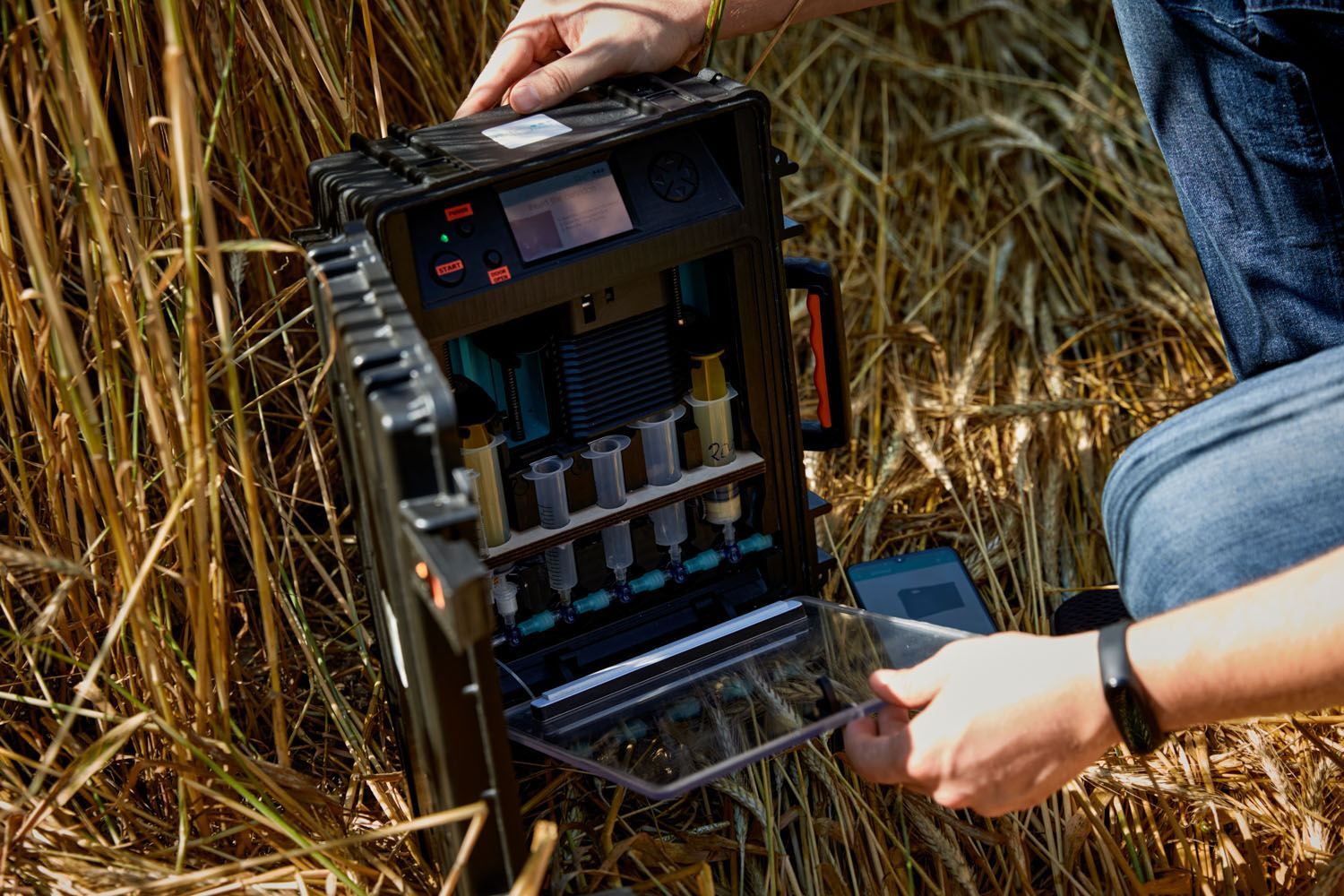 Украинцы представили разработку, которая измеряет безопасность пищи Украинцы представили разработку, которая измеряет безопасность пищи