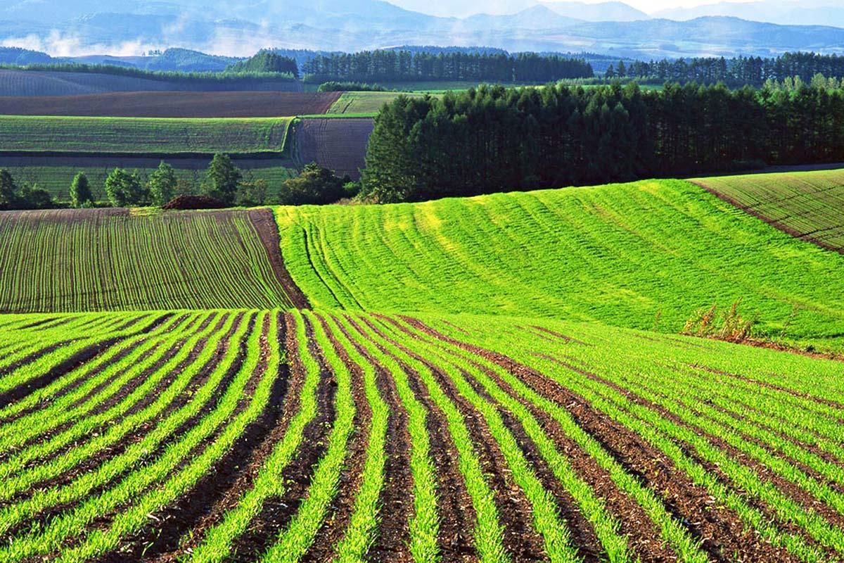 В Україні створять унікальну базу даних про стан ґрунтів