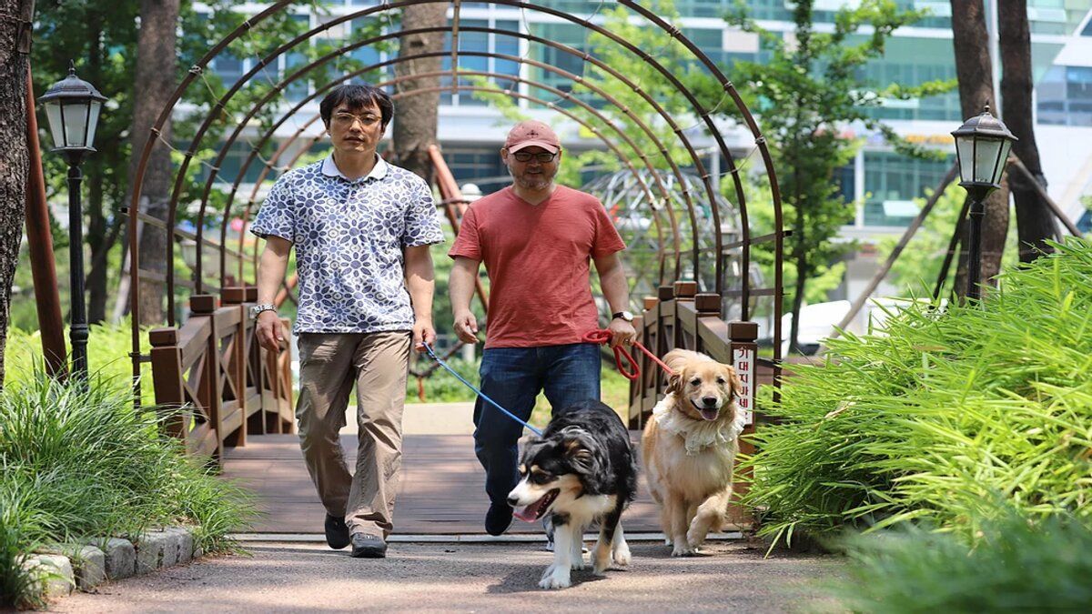 У Південній Кореї розробили розумний нашийник: він перекладає гавкіт собаки 