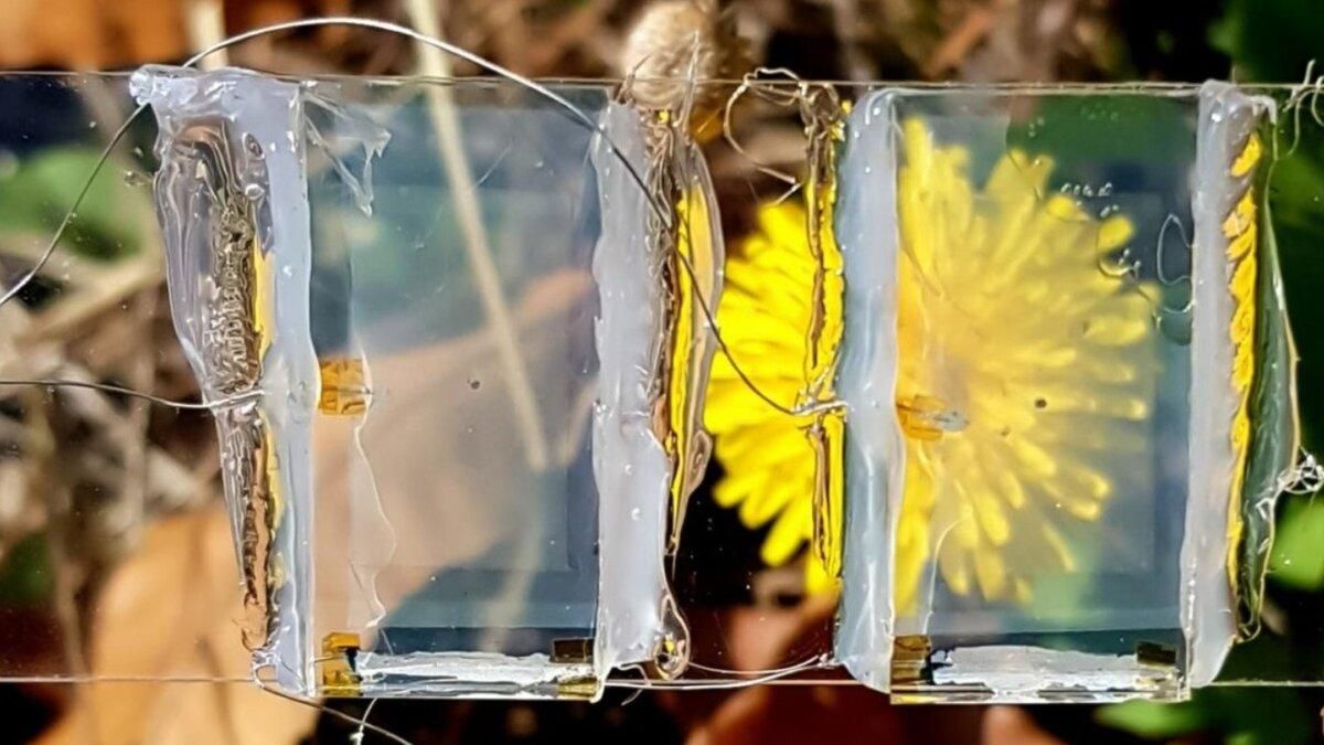 У Кореї розробили прозорі сонячні панелі: де можна застосовувати У Кореї розробили прозорі сонячні панелі: де можна застосовувати