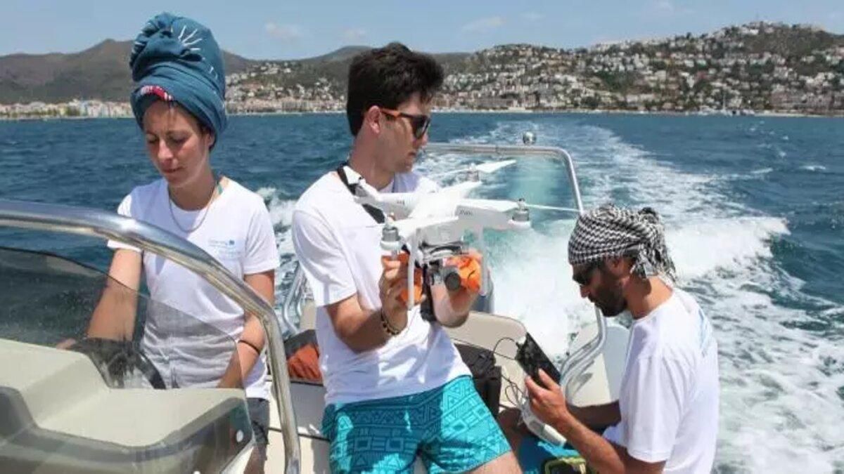 Искусственный интеллект научили выявлять мусор в океане с воздуха  Искусственный интеллект научили выявлять мусор в океане с воздуха