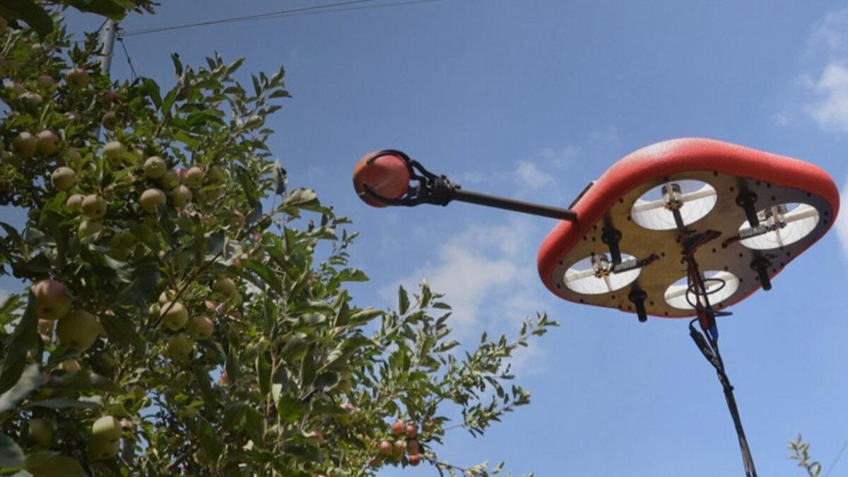 В Израиле разработали летающего автономного робота для сбора фруктов: 