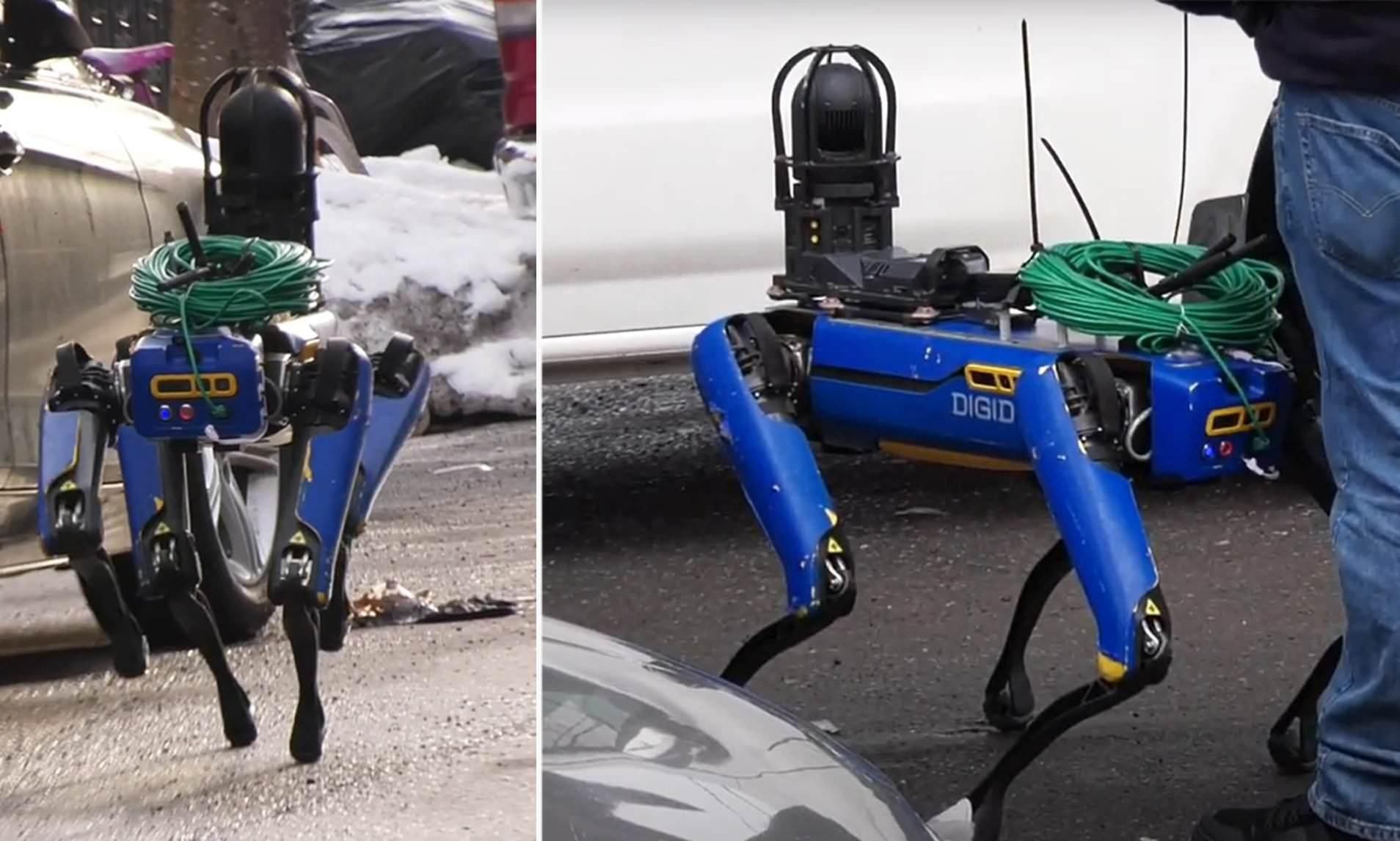 Полиция Нью-Йорка испытала робопса Digidog: видео Полиция Нью-Йорка испытала робопса Digidog: видео