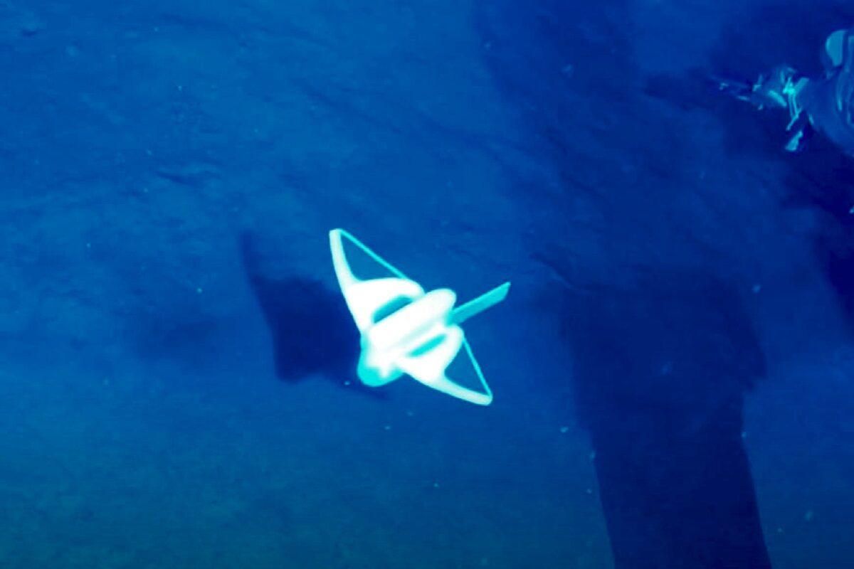 Мягкий робот погрузился на дно Марианской впадины: видео Мягкий робот погрузился на дно Марианской впадины: видео