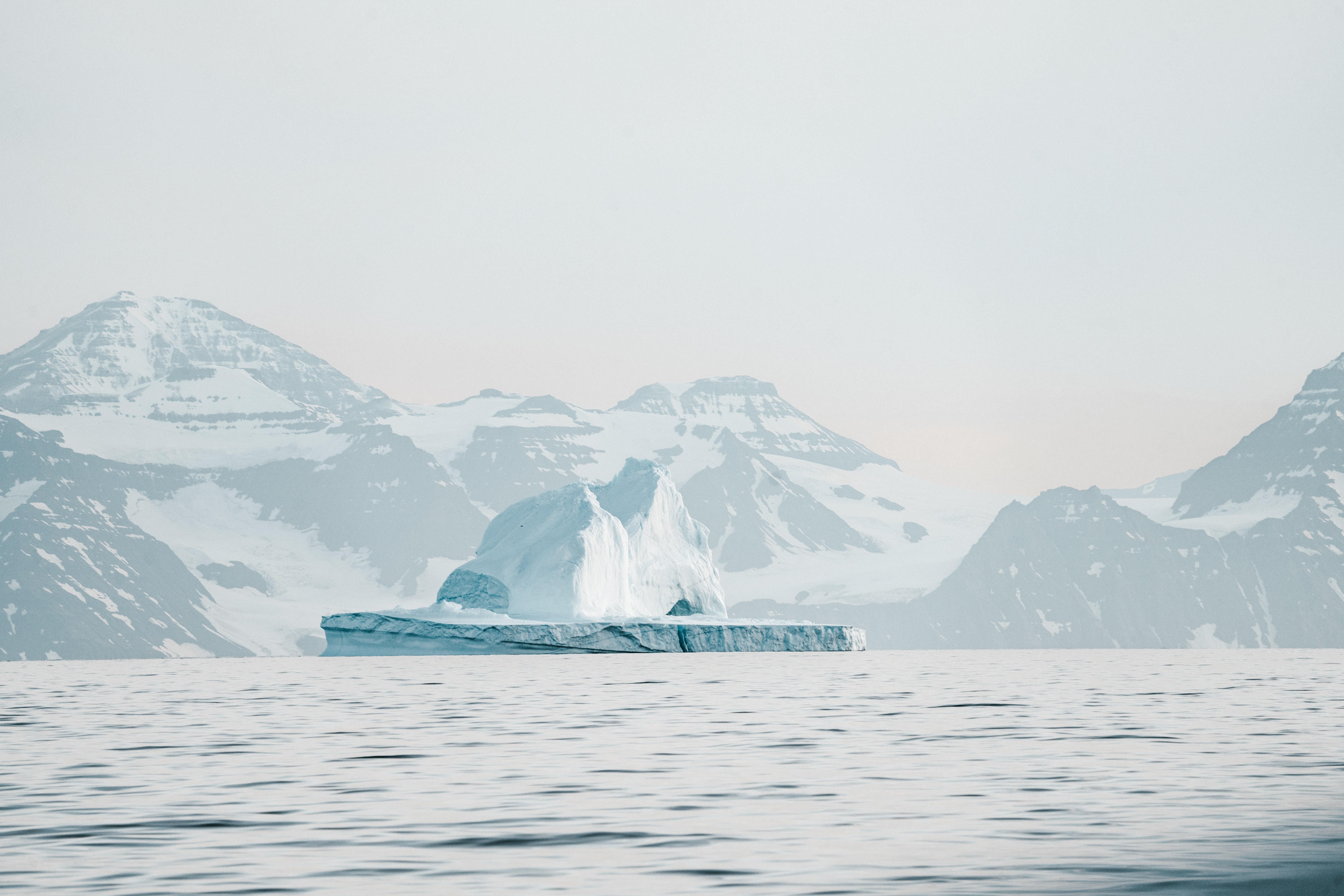 Арктика може знову стати зеленою, – вчені про наслідки потепіння