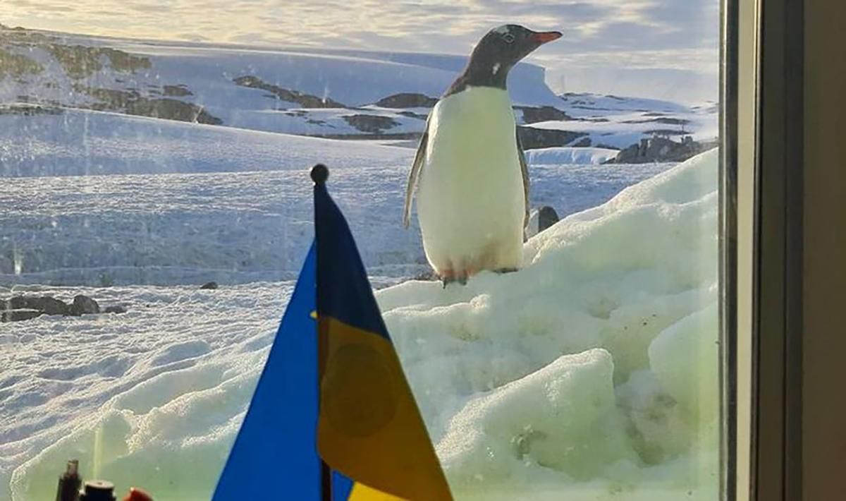 10 фактов о метеорологических исследования украинцев в Антарктиде
