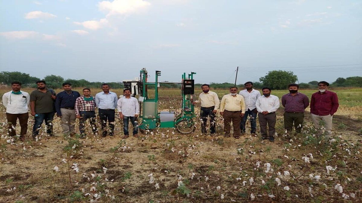 В Индии разработали робота для сбора хлопка В Индии разработали робота для сбора хлопка