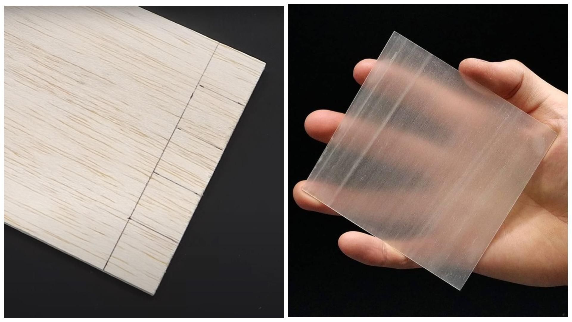 Парень из Канады сделал дерево прозрачным Парень из Канады сделал дерево прозрачным