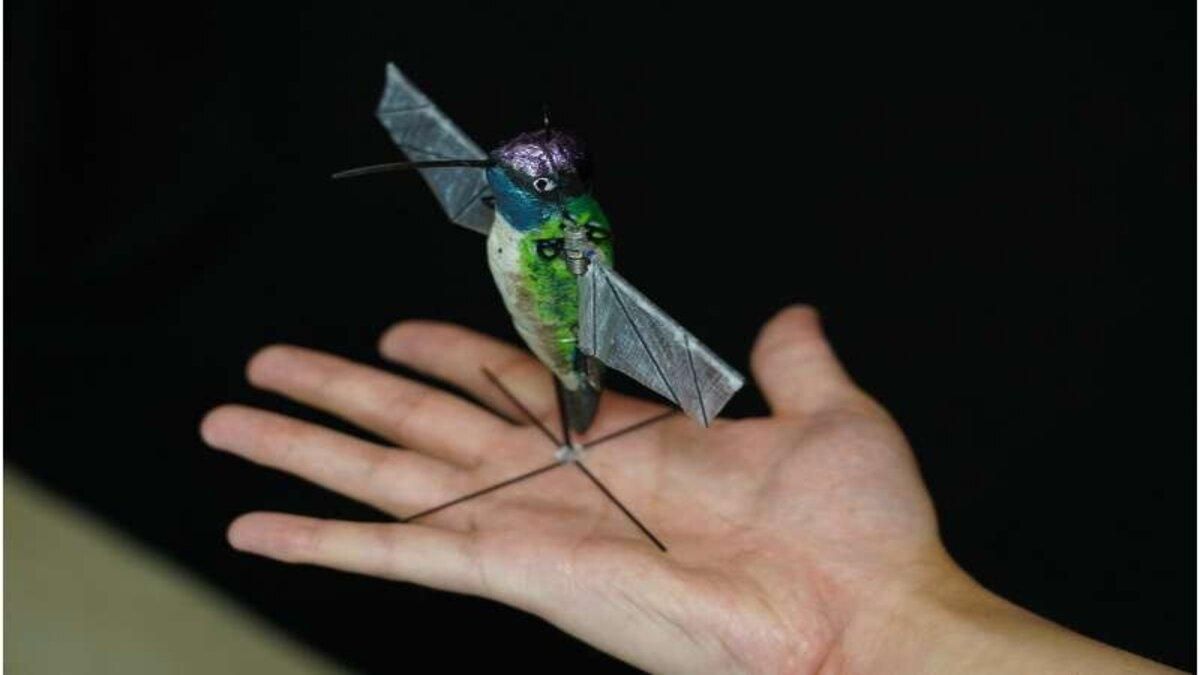 В США разработали робота-колибри с искусственным интеллектом 
