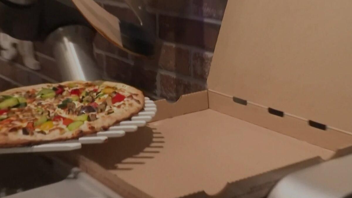 Pazzi Robot Pazzi Robot