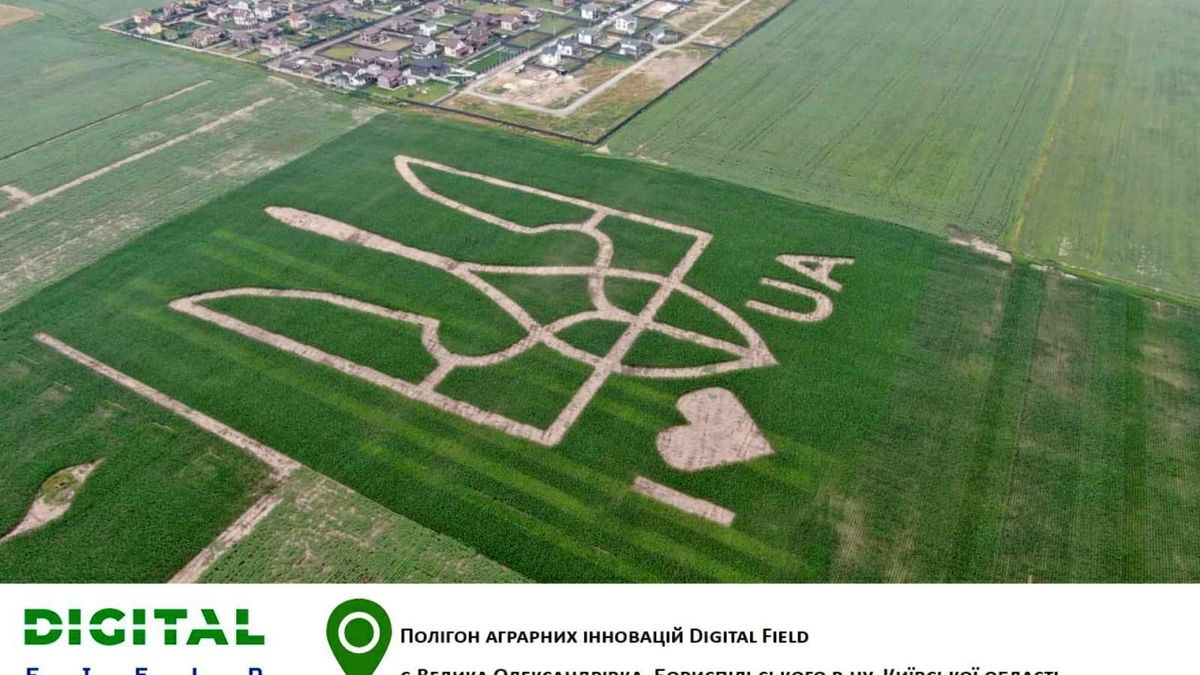 Гигантский герб Украины, что высеяли на поле