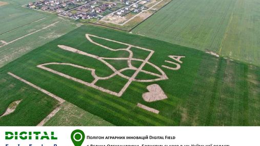 Исключительный рекорд: на поле высеяли огромный герб Украины