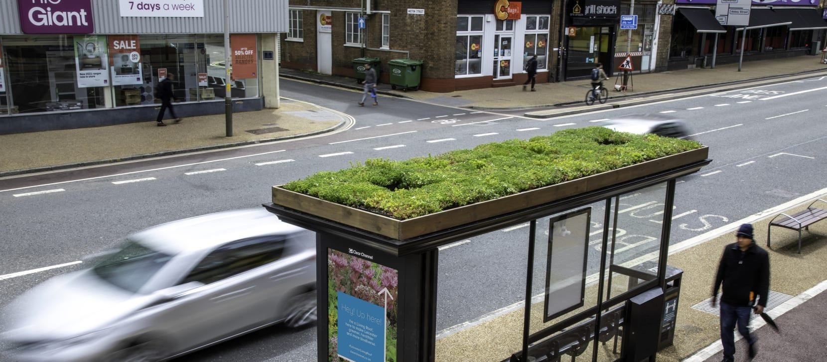 В Великобритании на автобусных остановках создают приюты для пчел