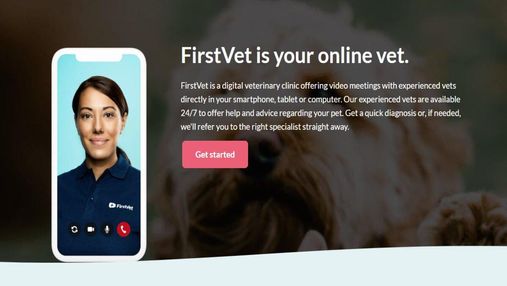 Українці розвивають сервіс онлайн-консультацій ветеринара VetOnline.pro: чим унікальний