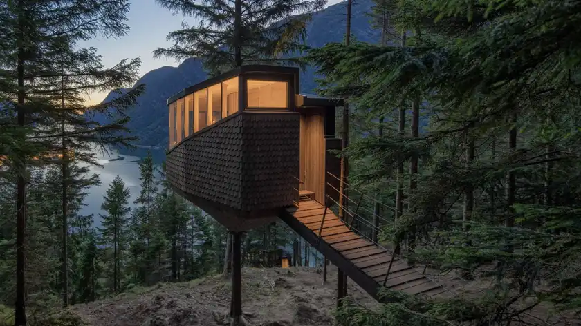 В Норвегии построили отель прямо на дереве: впечатляющие фото - Инновации