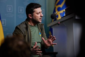 Зеленський відповів на петицію про скасування ратифікації Стамбульської Конвенції