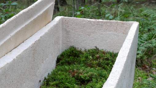 "Живые гробы" из грибов: ученый предлагает инновационный способ захоронения – фото